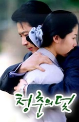 青春の罠（1999年）の画像