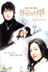 天国の樹の画像