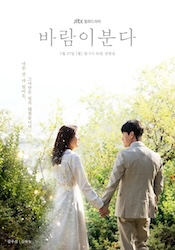 風が吹くの画像