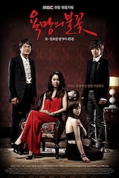 欲望の炎の画像