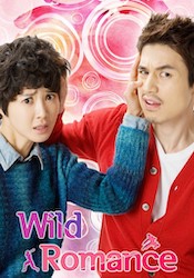 乱暴なロマンスの画像