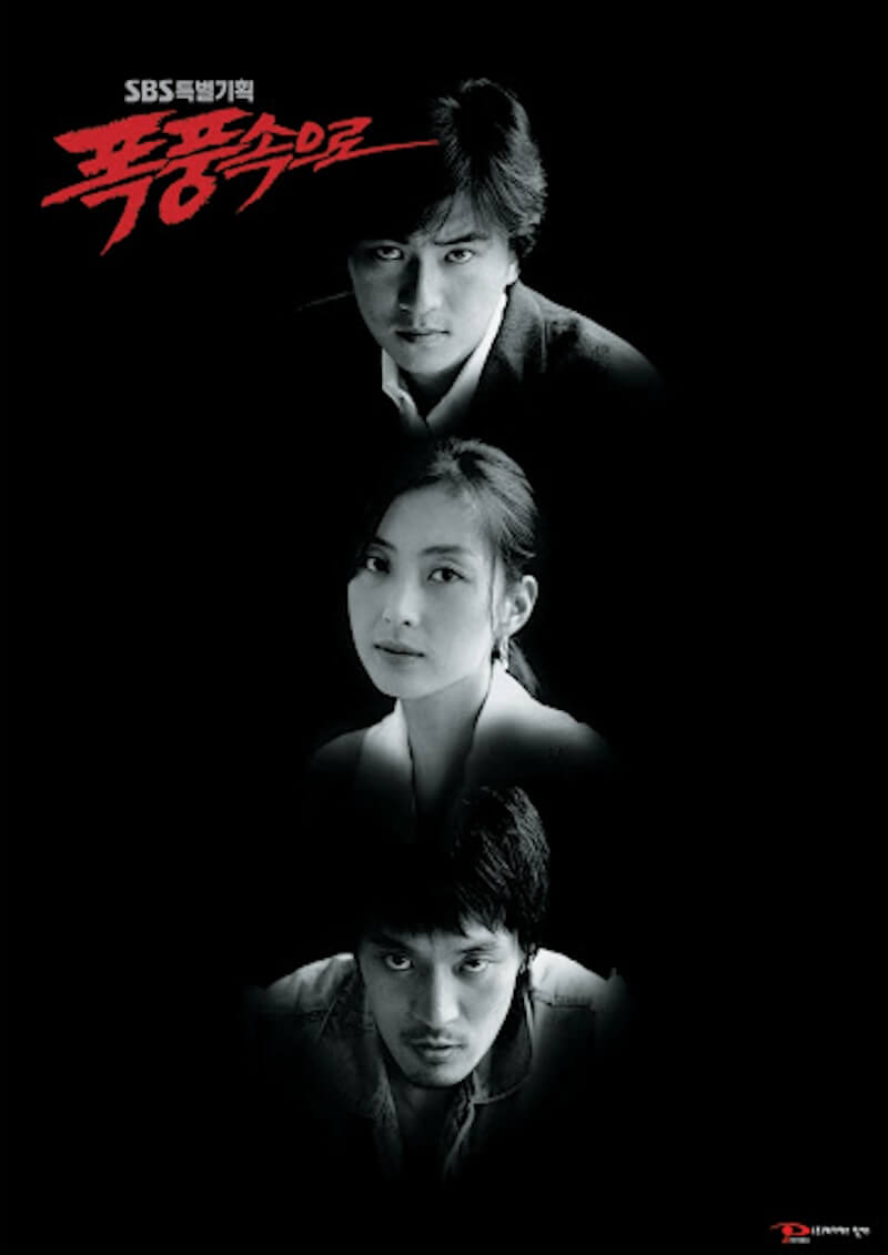 嵐の中へ（2004年）の画像