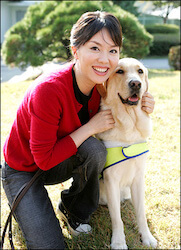 愛しのトラムの画像