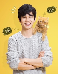 想像ネコ～僕とポッキルと彼女の話～の画像