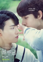 Blueming〜君に染まるの画像