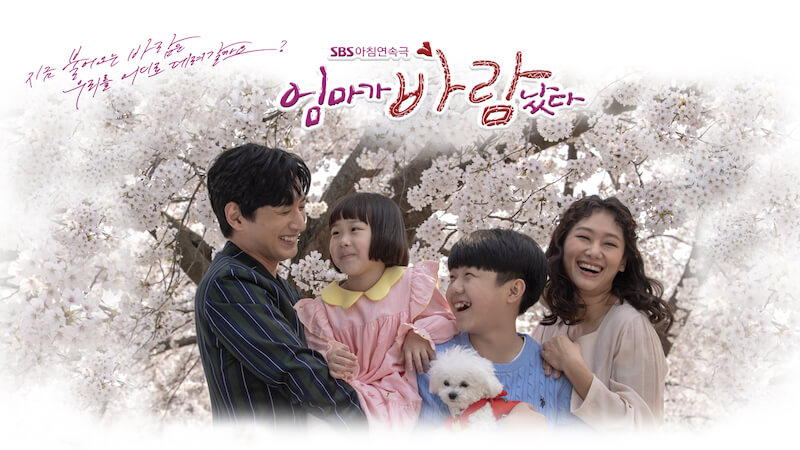 シンデレラも恋していいですか？の画像