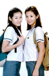 ソニジニの画像