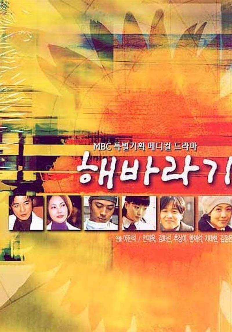 ひまわりの画像