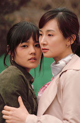 愛情の条件の画像