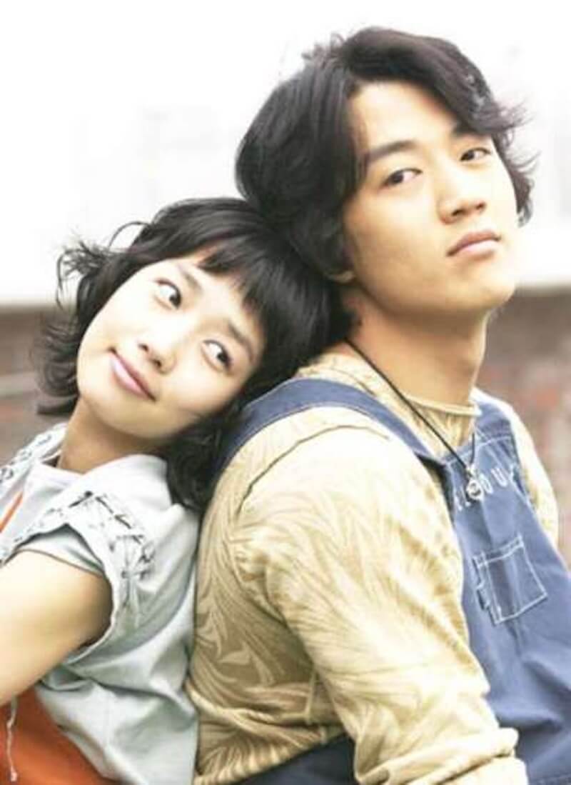 屋根部屋のネコの画像