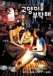 子猫をお願いの画像