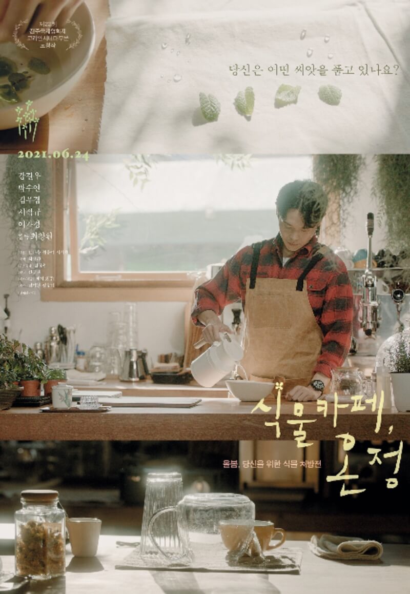 植物カフェ、温情の画像