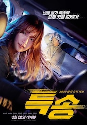 パーフェクト・ドライバー 成功確率100%の女の画像