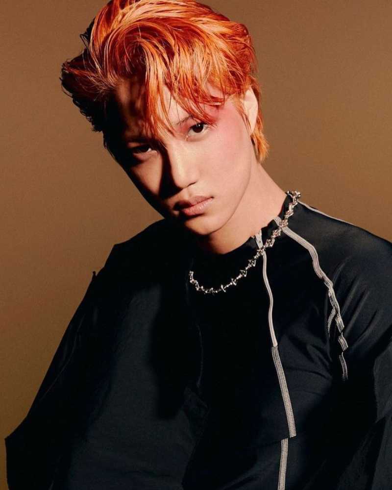 カイ（EXO）の画像