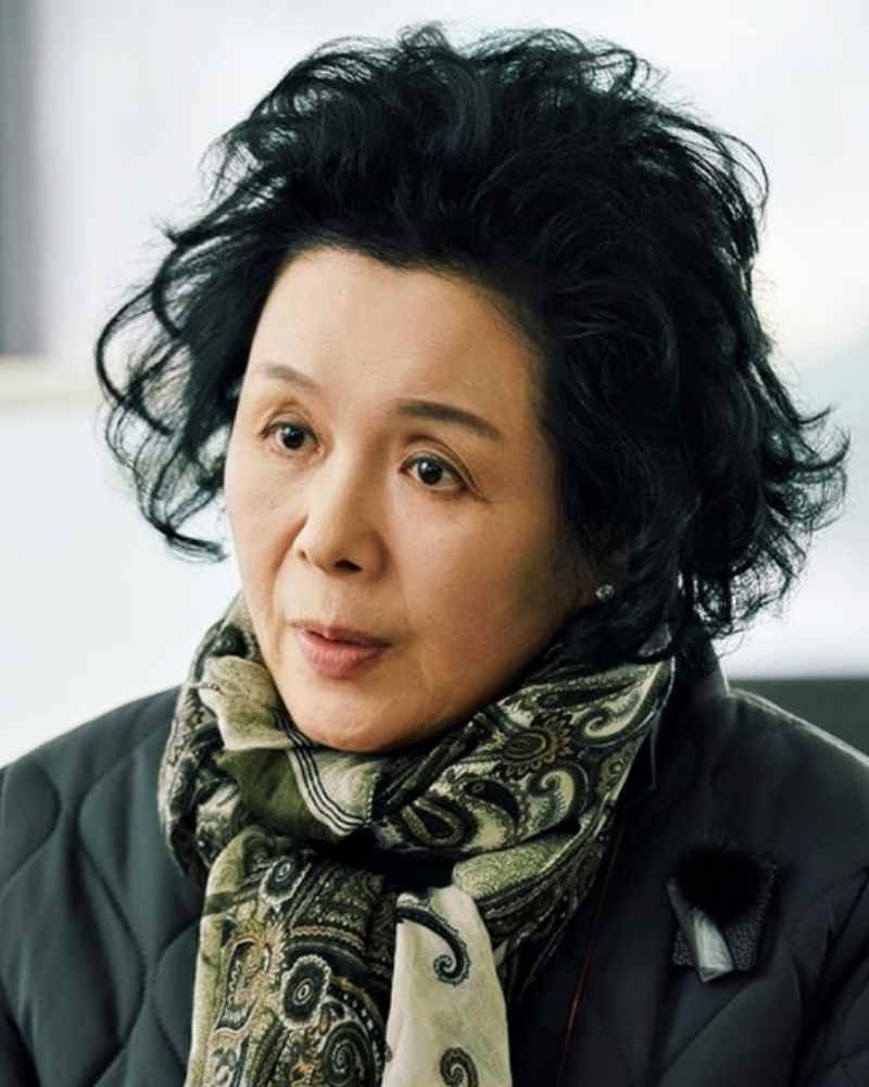 シン・シネの画像