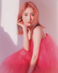 パク・ハソンの画像