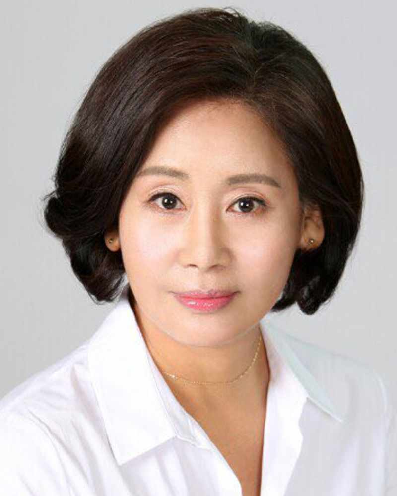 ホン・ヨジンの画像