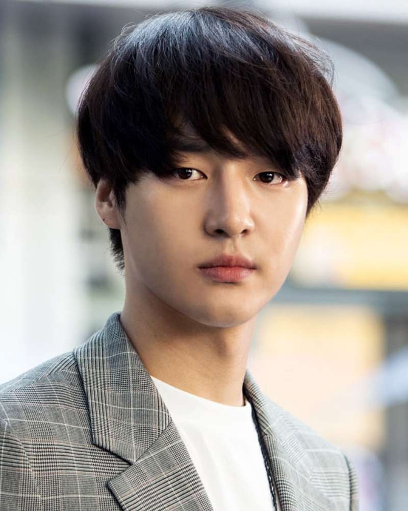 ヤン・セジョンの画像