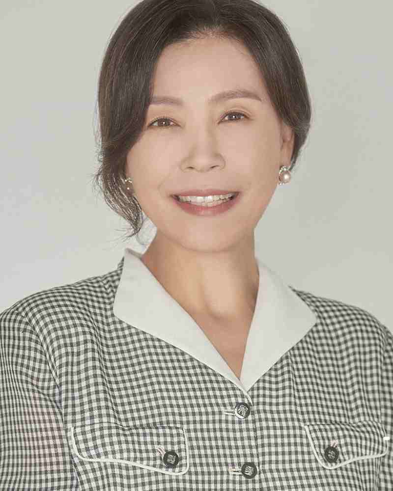 チャ・ミギョンの画像