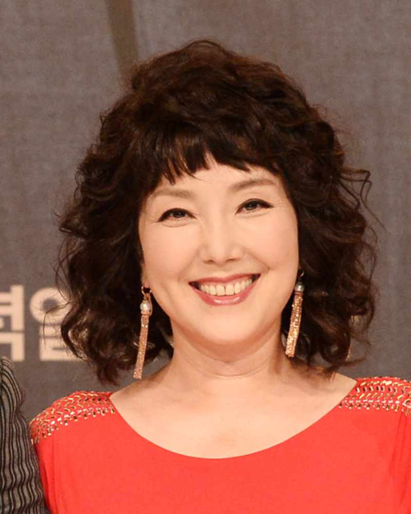 イ・フィヒャンの画像