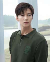 ウォンビンの画像